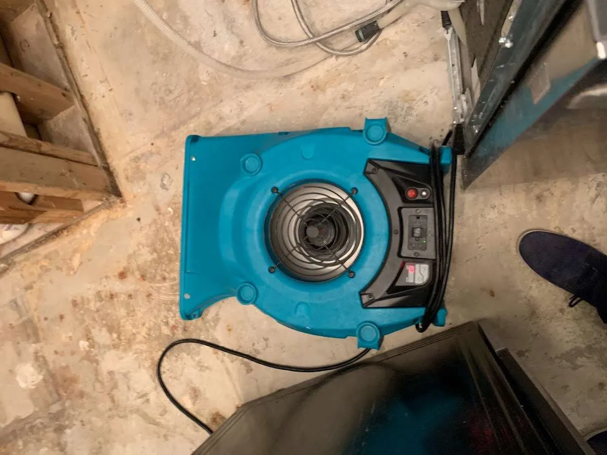 Air mover drying equipment for Mold Remediation & Removal in Bellaire
