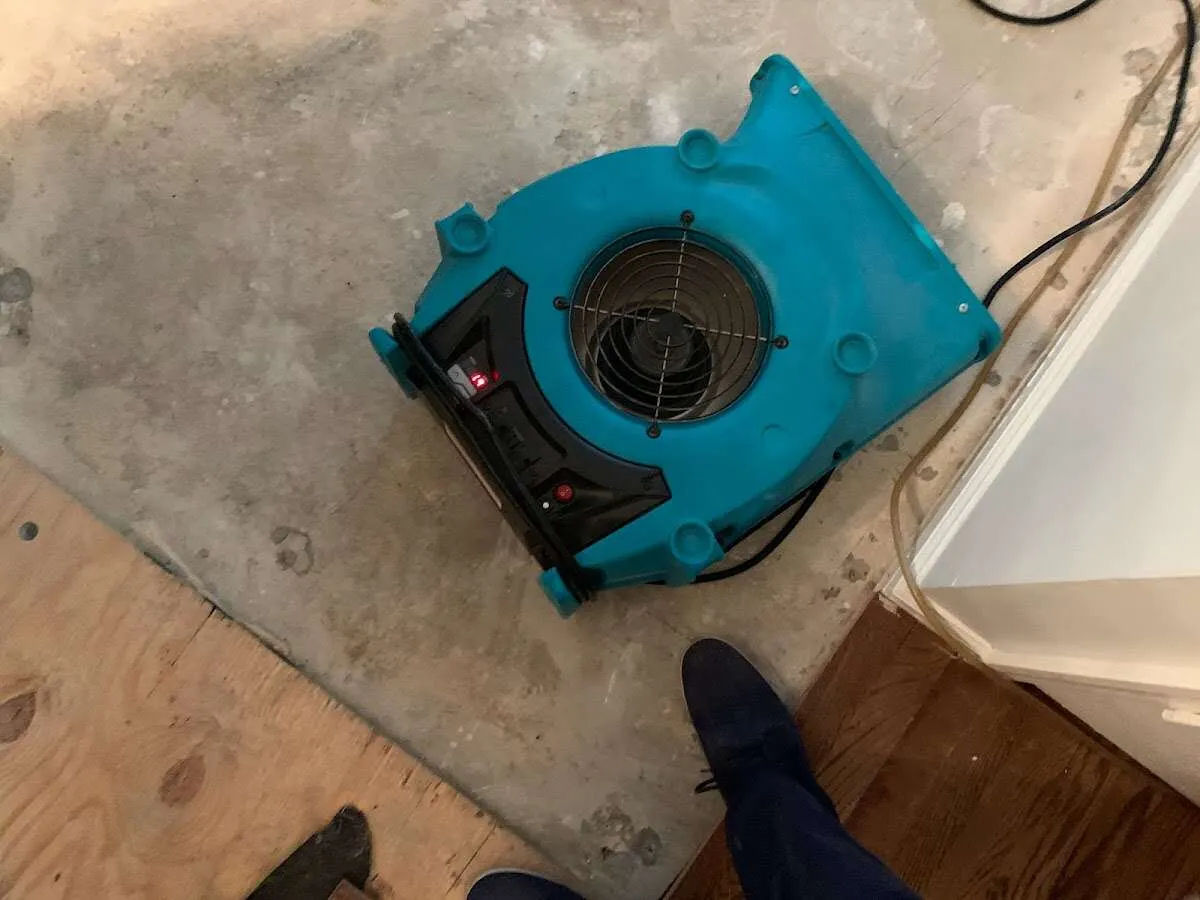 Air mover drying subfloor during Commercial Water Damage Restoration in Bellaire